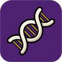 Resume Studio & L1-L5 Skill DNA